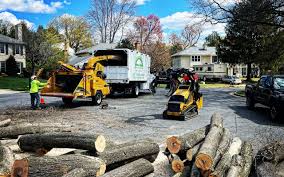 Best Storm Damage Tree Cleanup  in Atwater, MN